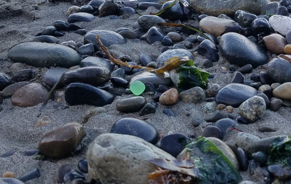 Gl Beach Port Townsend Wa The Best Beaches In World Sea Gl Beach Port Townsend The Best Beaches In World