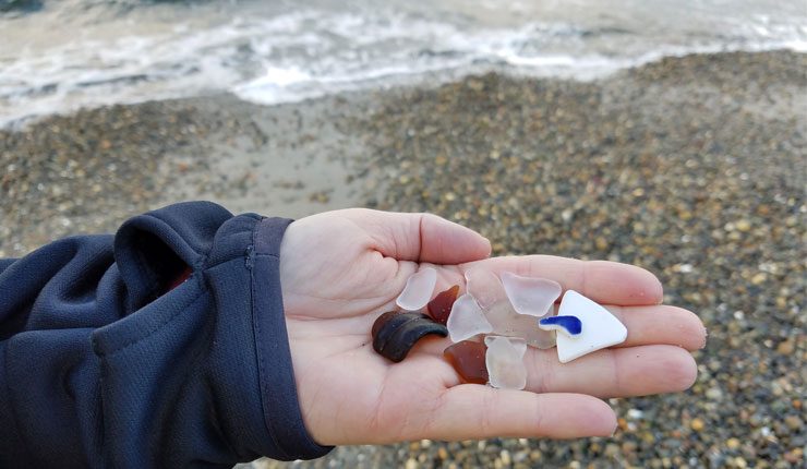 Alki Beach Seattle An Amazing Sea Gl Hunting Spot Sea Gl Found At Alki Beach Seattle Washington