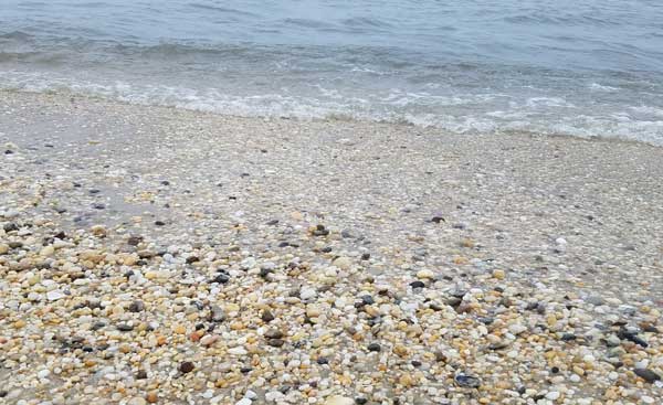 Sea Gl Sunset Beach Cape May Diamonds Are A S Best Friend Sunset Beach Cape May Ocean