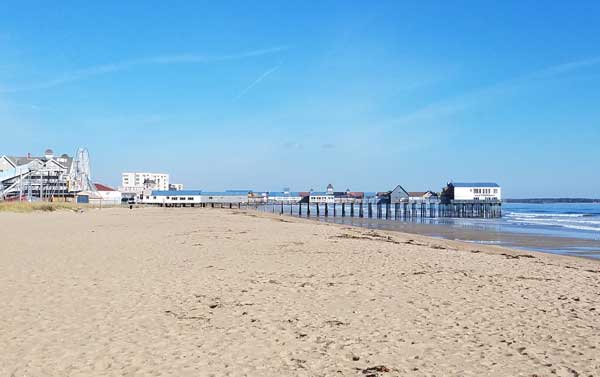 Searching For Authentic Sea Gl At Old Orchard Beach Sandy Ss Of Old Orchard Beach