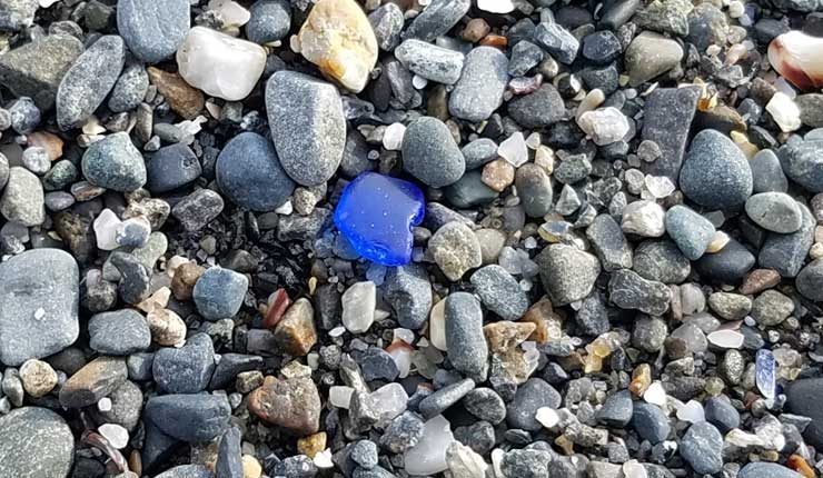 Sea Gl Searching At East Point Beach Secret Blue Lagoon Smooth Piece Of Wave Tumbled Blue Sea Gl Washed Up On Pebbles At East Point Beach